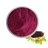 Best Price Anthocyanidins,Black Elderberry Extract Powder