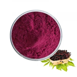 Best Price Anthocyanidins,Black Elderberry Extract Powder