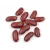 Import Light Speckled Kidney Beans /Pinto Beans/Sugar Beans from Cameroon