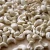 Import Raw Cashew Nuts from Germany