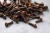 Import Cloves Spice / Cloves for sale from South Africa