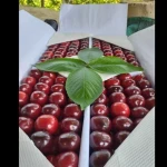 fresh cherries