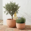 Large Rustic Wave Terracotta Planter with Unique Wave Design