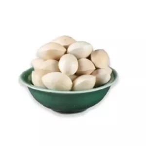 Hot sales Wholesale Best Price Dried Ginkgo Nuts Quality Ginkgo Nuts For Sale