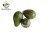 Import Safqa Fresh and Organic Avocado 4Kg from Ethiopia
