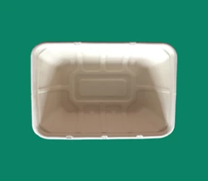 DC-79 food container
