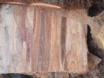 Redwood logs