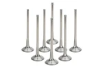 Titanium Valve