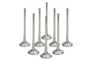 Titanium Valve