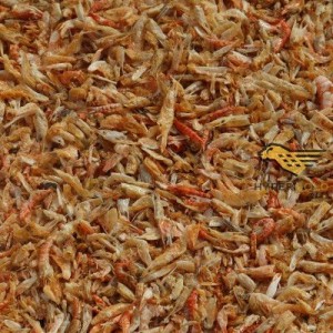 Best Quality Light Brown Dried Shrimp, 100% Organic