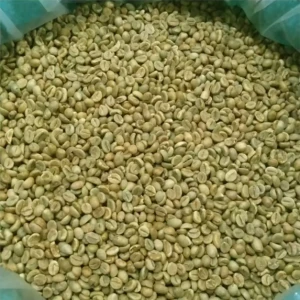 HIGH QUALITY ROASTED WHOLE BEAN ROBUSTA OR ARABICA MEDIUM ROASTED LEVEL CAMEROON COFFEE BEAN