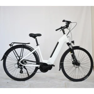 lady use electric bicycles BY-27.5B01