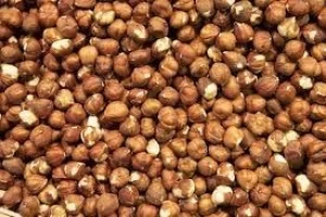 100% Quality Hazelnuts In shell & Kernels, Organic Hazel Nuts
