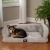 Import Pet bed from China