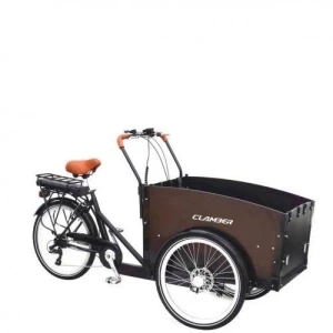 Electric Cargo Bike UB9034E