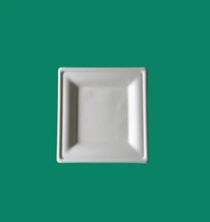 TP060 Square Tray