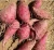 Import Fresh Organic sweet purple potatoes/ Ms Sofia +84 789946878 from Vietnam