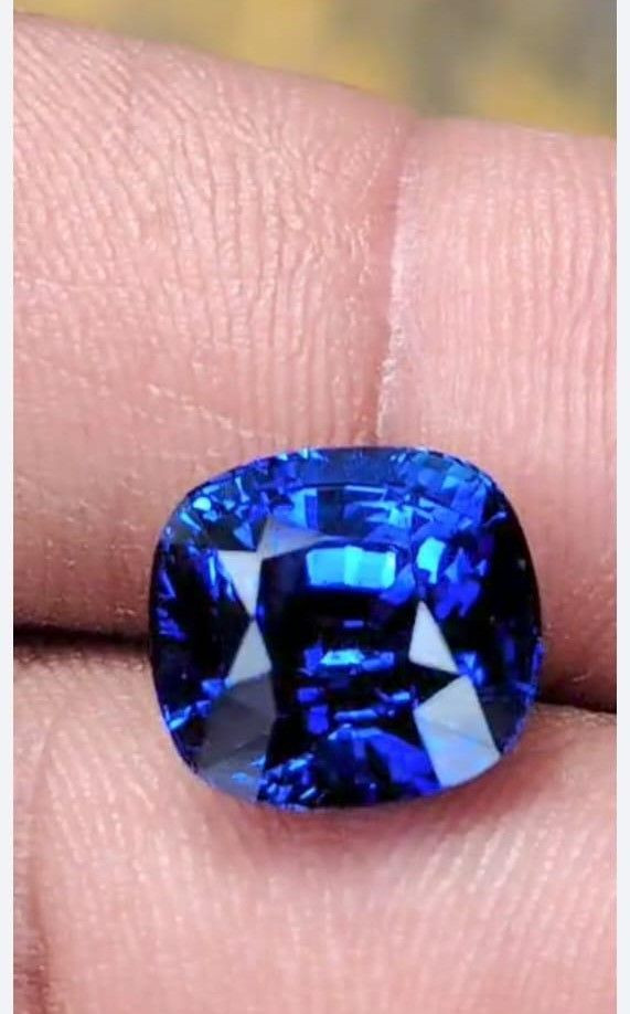 Dove - Royal blue
