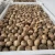 Import Fresh Black Garlic from China