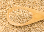 Buy Sesame Seeds Online from a Trusted International Supplier