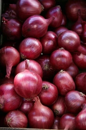 Fresh Red Onions – Firm, Flavorful & Long Shelf Life for Export