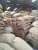 Import Whole Sale Price Arabica Coffee Beans 100% Natural Green Coffee Bean Attractive Flavor from Kenya