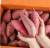 Import Fresh Organic sweet purple potatoes/ Ms Sofia +84 789946878 from Vietnam