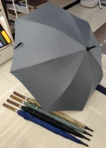 Umbrella, Parasol