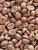 Import Whole Sale Price Arabica Coffee Beans 100% Natural Green Coffee Bean Attractive Flavor from Kenya