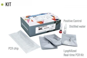 Wizdx Covid-19 Crystalmix PCR Kit