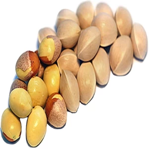 Ginkgo nuts south africa top quality human consumption fresh raw ginkgo frozen dried ginkgo nut style