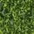 Import 12 Pcs Wholesale UV Boxwood Green Hedge Artificial synthetic Grass Wall Panels Grass Wall Plants for Garden  ornaments Decor from China
