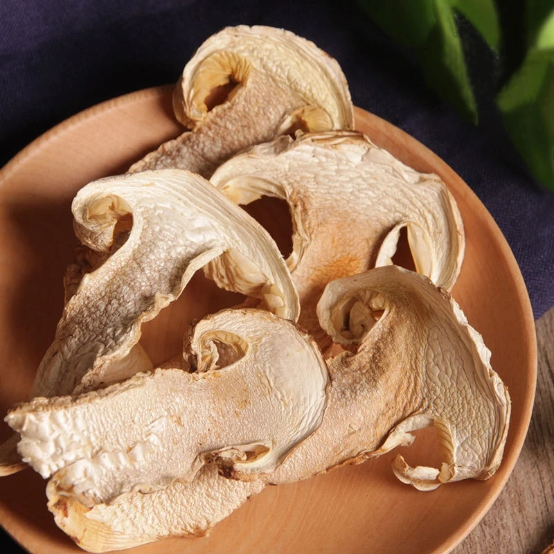12008 Song rong Hot sale 100% Natural dried mushroom Tricholoma matsutake For sale