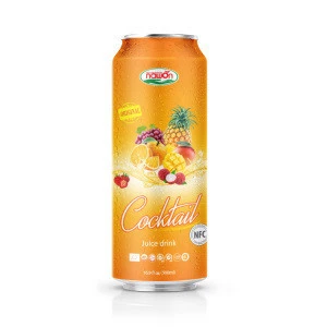 16.9 fl oz NAWON Canned Peach Juice Drink