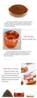 2015 HEALTH SD BLACK TEA POWDER - FOOD PRODUCT/SPRAY BLACK TEA POWDER EXTRACT