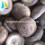 Import 2017 New Crop Chinese Frozen shiitake mushroom for sale from China
