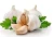 Import 2019 new product Garlic extract / Garlic powder/ Allicin powder free sample from China