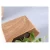 Import 2020 New Indoor Eco-friendly Household &amp; Office Plastic Wall Mounted Self Water Flower Pot With Planting Sponge from China