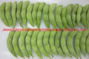 2020 Wholesale Organic New Crop Brc HACCP Factory Variety Frozen Soybeans