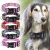 Import 2020 Wholesale Printed Nylon Pet Dog Collar from China
