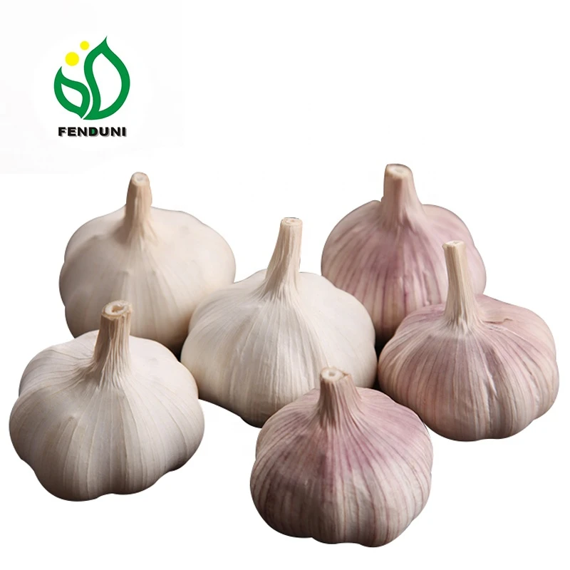 2021 China/Chinese Best Fresh Natural Garlic Price - New crop, Hot sales