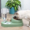 2021 High quality stainless steel pet dog feeder automatic pet feeder