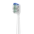 2021 New Product Toothbrush Head Oral Hygiene Teeth Clean Tools Cepillos De Dientes Replaceable Sonic Electric Tooth Brush Heads
