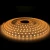 Import 2021 New waterproof LED Strip light 5050 60led 24V Ra80 Ra90 10mm IP66 silicon tube 1300lm flexible strip light 5050 led strip from China