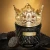 Import 2023 Hot Sale Queen Black Gold Luxury Skin Care Cosmetics Moisturize Skin Facial Mask from China