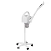 2024  Professional Beauty Salon Facial Steamer hot vapor ozone