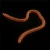Import 20Pcs/box Simulation Earthworm Red Fishing Worms Artificial Fishing Worms Fishy Smell Lures Soft Bait 8cm 10cm Fishing Tackle from China