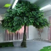 2.5m Artificial evergreen ornamental plants artificial ficus tree for garden decoration