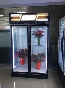 3 glass door supermarket flower bakery  showcase  refrigeration equipment