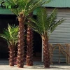 3 m height  artificial palm tree for artificial plants indoor or outdoor